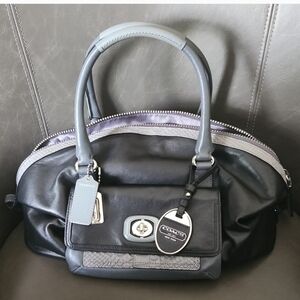 Coach limited edition pinnacle EMB exotic python erin dome satchel